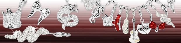 Silbercharms in tollen Designs